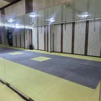 فروش اینه مخصوص باشگاه