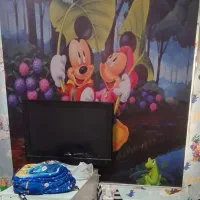 دوتا گلیم فرش و پرده ست|گلیم، جاجیم، گبه|محمدیه-قزوین, |دیوار