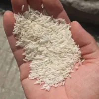 راهنمایی کنید