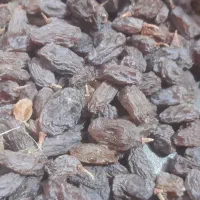 کشمش آفتابی بوانات|خوردنی و آشامیدنی|شیراز, سعدیه شمالی|دیوار