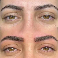 آرایش دائم  میکرو شیدلب ریمو ابرو (تتو بدن )