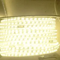 ریسه شلنگی کلاف کامل|لامپ و چراغ|نشتارود, |دیوار