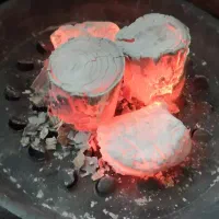 زغال لیمو جهرم سکه ای