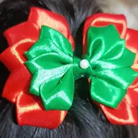 اسکرانچی زیبا|زیورآلات و اکسسوری|ارومیه, |دیوار