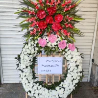 پایه گل تبریک/ افتتاحیه/ تاج گل افتتاحیه هدیه|گل و گیاه طبیعی|مشهد, فرهنگیان (شهرک غرب)|دیوار
