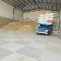 کاه