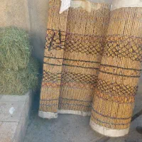 فروش یک عددچیت