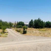 فروش-گلخانه-و-زمین-باغی-سند-شش-دانگ