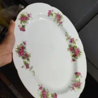 ظرف چینی|ظروف سرو و پذیرایی|اردکان, |دیوار