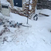 مینا سبز المانی