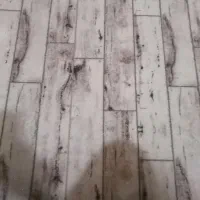 موکت