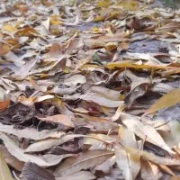 خط  ۹۱۲    ۲۵۲  *۱۳۵