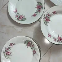 ظرف پذیرایی گل عروس
