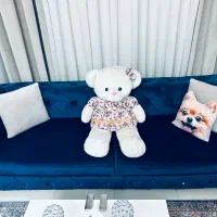 فرش ۶ متری ۱۲۰۰ شانه یه دست مبل چستر میز تلویزیون