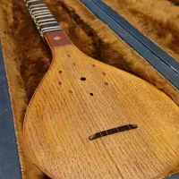 سه تار حرفه ای (مهر طرقه)|سازهای سنتی|مشهد, ارشاد|دیوار