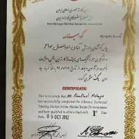 مربی ورزشی حرفه‌ای