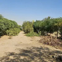 زمین باغی|فروش زمین و ملک کلنگی|باقرشهر, |دیوار