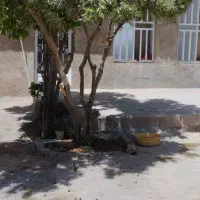 فروش منزل ۲۰۰ متری تیون|فروش خانه و ویلا|شیراز, وزیرآباد|دیوار