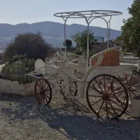 فروش کالسکه،  تجهیزات  سوارکاری|اسب و تجهیزات اسب‌سواری|ایلام, |دیوار