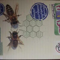 کتاب کمک درسی