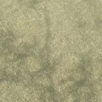 خار فروشی|لوازم جانبی حیوانات|میان جلگه, |دیوار