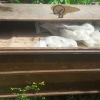 گاری|ماشین‌آلات صنعتی|لنگرود, |دیوار