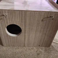 لانه پرنده برای تخم گذاری
