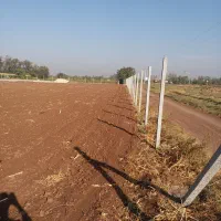 توری فنس نوری|خدمات باغبانی و درختکاری|تاکستان, |دیوار