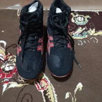 کفش ورزشی پهلوانی