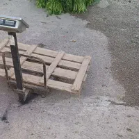 شوید|خوردنی و آشامیدنی|دزفول, |دیوار