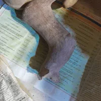 فروش تعدادی کوزه گلی.|صنایع دستی و سایر لوازم تزئینی|اسلامشهر, باغ فیض|دیوار