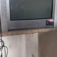 تمومی اجناس داخل عکس فروشی