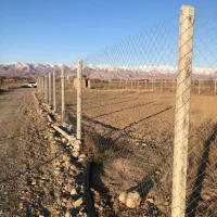 زمین ۲ بر زراعی کشاورزی گلخانه ای|فروش زمین و ملک کلنگی|نظرآباد, صالح آباد|دیوار