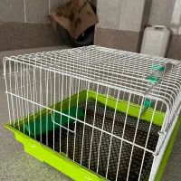 قفس خرگوش همستر خوکچه هندی گربه سگ