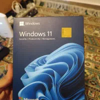 موس و ویندوز