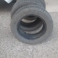 لاستیگ ساینا