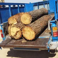 خریدچوب وقطع درخت توت عرعرکاج گردو|خدمات باغبانی و درختکاری|مشهد, رسالت|دیوار