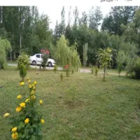 کارگر اقامتگاه|استخدام خدمات فروشگاه و رستوران|مشگین شهر, |دیوار