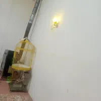 اجاره‌منزل