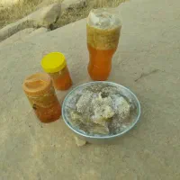 عسل|حراج|فولادشهر, B1|دیوار