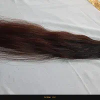 فروش مو|آرایشگاه و سالن‌های زیبایی|دهدشت, |دیوار