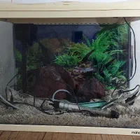 آکواریوم ماهیران