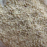 برنج|خوردنی و آشامیدنی|کوهدشت, |دیوار