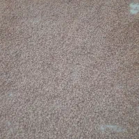 فروشی بادام زمینی برشته شده درجه یک|خوردنی و آشامیدنی|پاکدشت, حصار امیر|دیوار