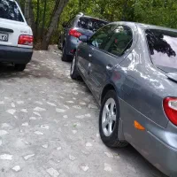 ماکسیما ‌مدل۸۸‌‌‌استثنائی ‌درمدل‌خودش