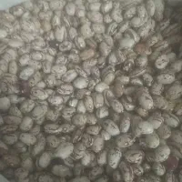 یک تن نیم