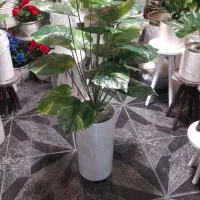 انواع درختچه وبوته خارجی