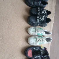 کفش|کیف، کفش، کمربند|شاهین دژ, |دیوار