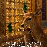 کاروان زیارتی مشهد مقدس