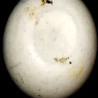 سنگ الماس آسیاب|کلکسیون اشیاء عتیقه|قیروکارزین, |دیوار